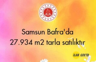Samsun Bafra'da 27.934 m² tarla icradan satılıktır