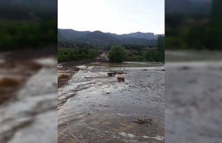 Seben'de kovanların sel sularına kapılmasıyla...