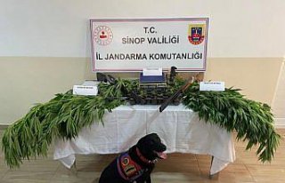 Sinop'ta uyuşturucu operasyonunda 3 kişi yakalandı