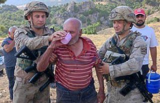 Amasya'da haber alınamayan alzaymır hastası ormanlık...