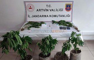 Artvin'deki uyuşturucu operasyonunda 3 kişi tutuklandı