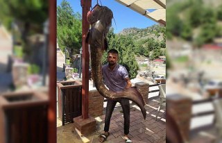 Çorum'daki Obruk baraj gölünde 50 kiloluk yayın...