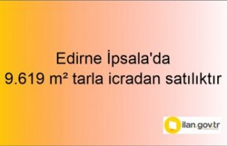 Edirne İpsala'da 9.619 m² tarla icradan satılıktır