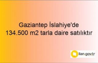 Gaziantep İslahiye'de 134.500 m2 tarla daire...
