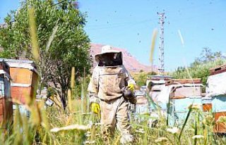 Görme engeline rağmen 37 yıldır arıcılık yapıyor