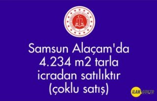 Samsun Alaçam'da 4.234 m² tarla icradan satılıktır...