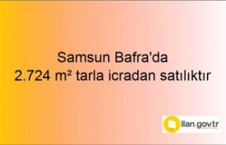 Samsun Bafra'da 2.724 m² tarla icradan satılıktır