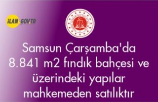Samsun Çarşamba'da 8.841 m² fındık bahçesi...