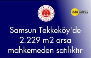 Samsun Tekkeköy'de 2.229 m² arsa mahkemeden...