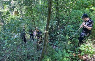 Sinop'ta ormanlık alanda erkek cesedi bulundu