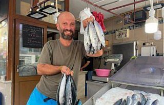 Sinop'ta sezonun ilk palamutları tezgahlardaki yerini...