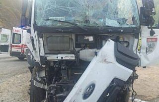 Zonguldak'ta kargo aracının park halindeki araçlara...