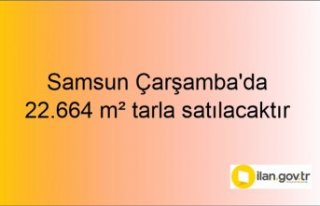 Samsun Çarşamba'da 22.664 m² tarla mahkemeden...