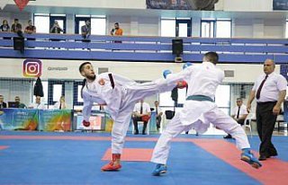 FISU Dünya Üniversiteler Dövüş Sporları Kupası