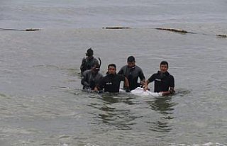 GÜNCELLEME - Trabzon'da denizde kaybolan gencin cansız...