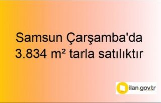 Samsun Çarşamba'da 3.834 m² tarla mahkemeden...