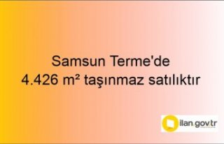 Samsun Terme'de 4.426 m² taşınmaz mahkemeden...