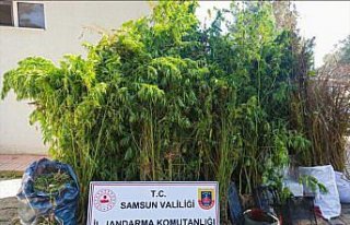 Samsun’da düzenlenen operasyonda 11 kilogram kubar...