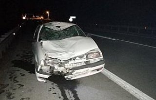 Sinop'ta otomobilin ineklere çarpması sonucu...