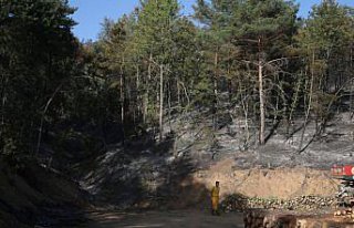 Tokat'ta çıkan orman yangını kontrol altına...