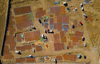 Üreticiler fındığı kurutmak için bu yıl da...