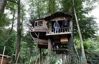 Ağaç gövdeleri arasına yaptığı iki ahşap evde...