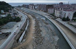 Artvin'de 1 ilçe, 7 mahalle ve 280 hektar tarım...