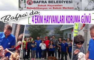 BAFRA’DA “4 EKİM SOKAK HAYVANLARI KORUMA GÜNÜ”