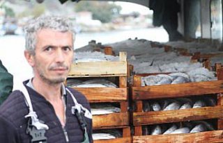 Batı Karadeniz'de palamut bolluğu fiyatlara yansıdı