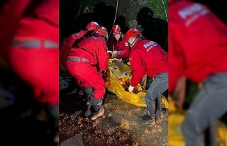 Giresun'da uçuruma düşen inek kurtarıldı