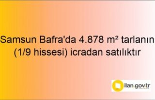 Samsun Bafra'da 4.878 m² tarlanın (1/9 hissesi)...