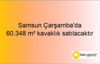 Samsun Çarşamba'da 60.348 m² kavaklık mahkemeden...