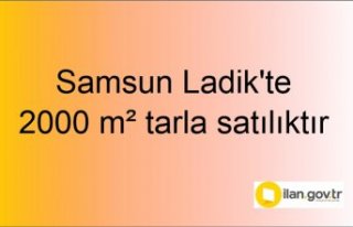 Samsun Ladik'te 2000 m² tarla mahkemeden satılıktır
