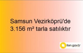 Samsun Vezirköprü'de 3.156 m² tarla mahkemeden...