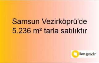 Samsun Vezirköprü'de 5.236 m² tarla mahkemeden...