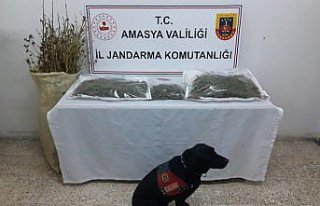 Amasya'da uyuşturucu operasyonunda yakalanan...