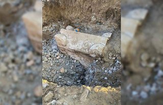 Bolu'da inşaat kazısında bulunan lahit incelemeye...