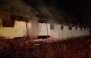 Göynük'te çiftlikte çıkan yangında 7 bin 500...