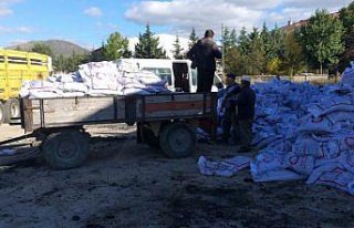 Gümüşhacıköy SYDV'den kömür yardımı