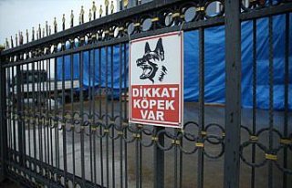 GÜNCELLEME 2 - Ordu'da köpeklerden kaçarken hafif...