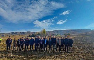 Hattuşa Ören Yeri'nin çevresine 30 bin lavanta...