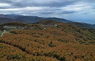 Kastamonu sonbaharın bütün renklerini yansıtıyor