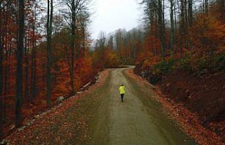 Nebiyan Dağı'nda güz renkleri arasında kıvrılan...