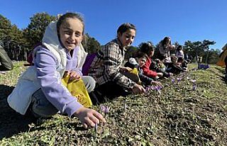 Safranbolu turizmine 