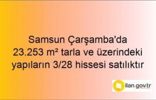 Samsun Çarşamba'da 23.253 m² tarla ve üzerindeki...