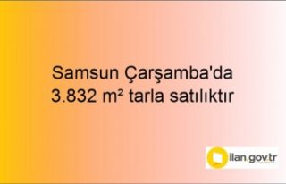 Samsun Çarşamba'da 3.832 m² tarla mahkemeden...
