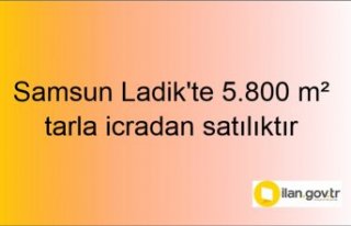 Samsun Ladik'te 5.800 m² tarla icradan satılıktır