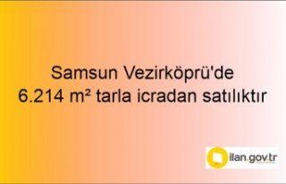 Samsun Vezirköprü'de 6.214 m² tarla icradan...