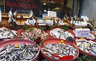 Zonguldak'ta balık tezgahlarında bolluk yaşanıyor