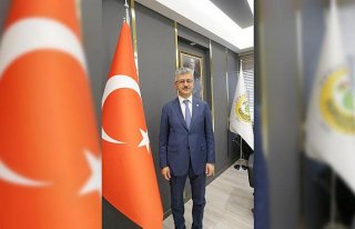 Bolu'da yanan ormanlık alanlar ağaçlandırılıyor